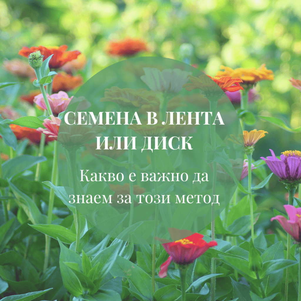 семена на лента или диск