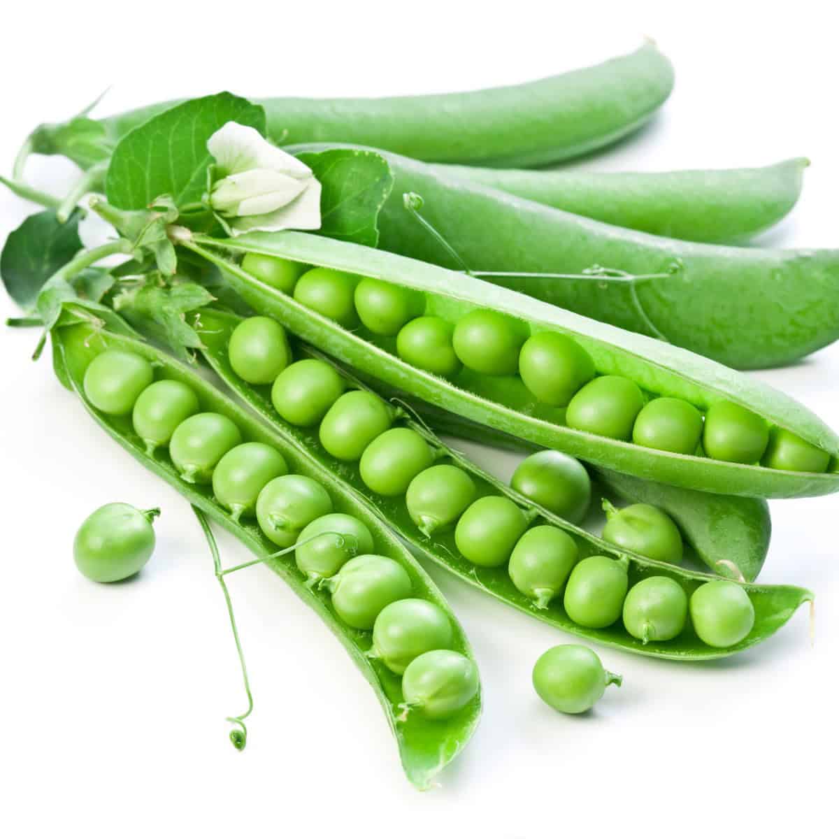 шушулки зелен грах