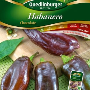 Pachet semințe Habanero Chocolate Quedlinburger cu ardei iute ciocolatiu