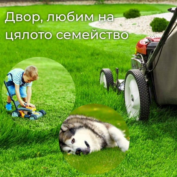 Зелен двор със свежа трева, деца, куче и косачка
