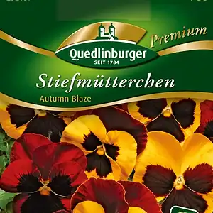 Цветове на теменужка Autumn Blaze