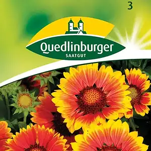 Гайлардия аристата - опаковка с 25 семена от Quedlinburger